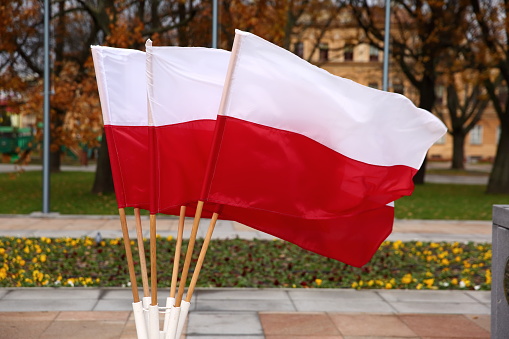 flagi polski na drewnianych kijach